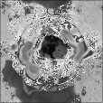 Bump Map