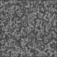Bump Map