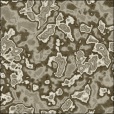 Diffuse Map