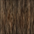 Fur-ocious