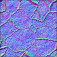 Normal Map
