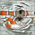 Variation 5