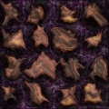 stones to walk on