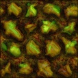 Variation 4