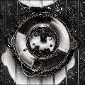 Chocolate Cookie Grunge