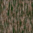 Diffuse Map