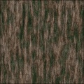 Magic Wood