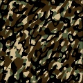 LM_Camo1