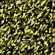 Variation 3