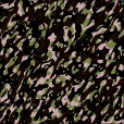 Variation 4