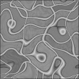 Bump Map