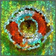 Diffuse Map