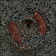 Variation 1