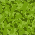 Camouflage