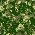 Variation 5