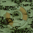Variation 4