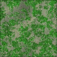Variation 3