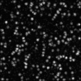 Bump Map