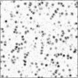 SpecExponent Map