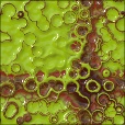 Variation 3