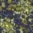 Variation 6