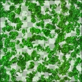 Foxxee's Leafy Canopy