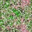 Variation 2