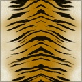 Tigress