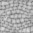 Bump Map