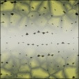 Diffuse Map