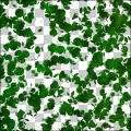 Foxxee's Leafy Canopy ll