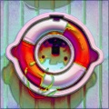 rainbow_warrior
