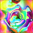 Variation 5