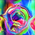 Variation 8