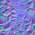 Normal Map