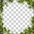 Foxxee's ' Spiritl of Nature'