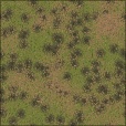 Variation 6