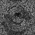 Bump Map