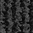 Bump Map