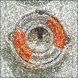 Variation 2