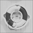 Bump Map