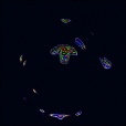 Variation 7