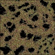 Diffuse Map