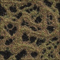 Meander