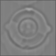 Bump Map