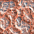 Variation 4