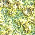 Variation 5