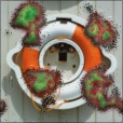 Variation 2