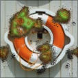 Variation 3