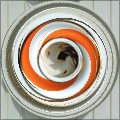 swirl 3rd gen 1